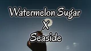 Watermelon Sugar x Seaside - TikTok Mashup (Harry Styles x SEB)