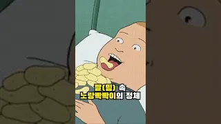 짤 속 노랑빡빡이의 정체 #shorts