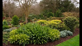 Cold-Hardy Plants: Survive and Thrive in Winter Gardens