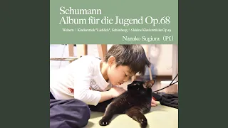 Album fur die Jugend (Album for the Young) , Op. 68, Part I: Fur Kleinere No. 14 Kleine Studie...