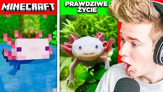 Rzeczy i Moby z Minecraft ZNALEZIONE w PRAWDZIWYM ŻYCIU