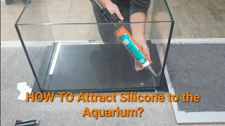 Making Impressive Nano Aquarium - Aquarium Silicone Pulls This Way!!!