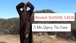 Stretch HANDS, LEGS | 5-Minute Qigong: The Crane