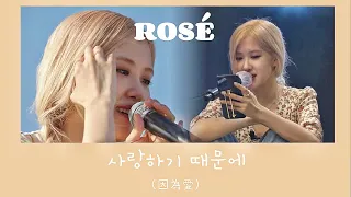 ［한/繁體中字］로제(ROSÉ) - 因為愛 사랑하기 때문에｜JTBC 盼望的大海 바라던 바다🌊