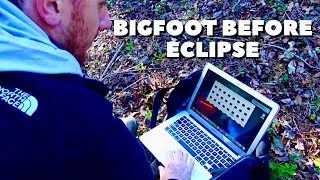 Attempting to Recover Images From Damaged Trail Camera Shows Bigfoot Activity Before Solar Eclipse