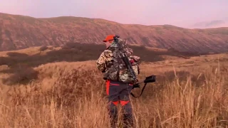 Brown Bear Hunting Kodiak, Alaska | First Day of The Fall Season