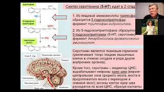 Вячеслав Дубынин лекция 9 РЭШ 2021
