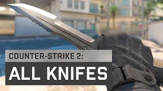 All Knifes + Animations in Counter Strike 2. Source 2 Engine