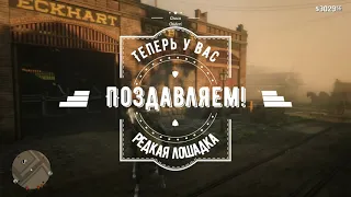 Red Dead Redemption 2 (Бесплатная редкая лошадь)