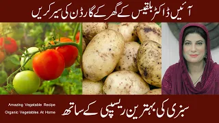 Home Garden |5 Vegetables that are too EASY to GROW in the Garden | By Dr. Bilquis Sheikh