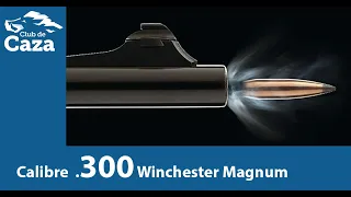 Todo lo que debes saber sobre el calibre .300 Winchester Magnum