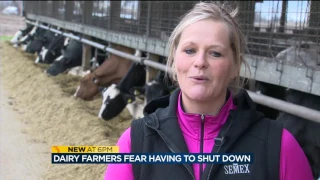 Dozens of dairy farmers without milk buyer as of May 1