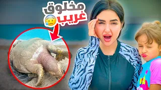 لقينا مخلوق مرعب في البحر عمره  100 سنه  | انصدمنا من الي شفناه 😱