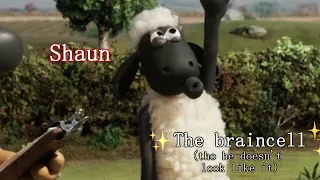 ✨ Meet the Shaun the Sheep cast ✨  // No Roots meme