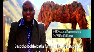 SDGs - Prime Minister and UN Country Team - Sesotho  subtitles