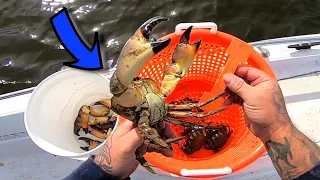 My BEST Pull Yet***Crabbing for STONE CRABS in FLORIDA