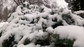 Народний та синоптичний прогноз погоди на вівторок, 6 лютого