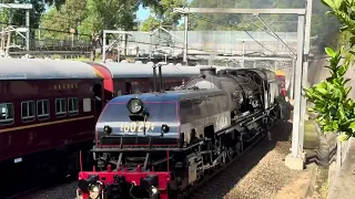 Steam locomotives 3526 & 6029 Parallel Run through Beecroft