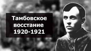 Тамбовское восстание 1920-1921 | Применение химоружия | Репрессии Тухачевского