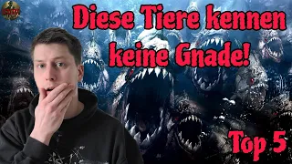 Die 5 BRUTALSTEN TIER-HORRORFILME aller Zeiten! | TOP 5