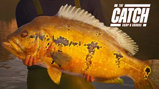 The Catch  Carp & Coarse Getting Started Review