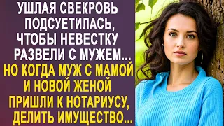 Ушлая свекровь подсуетилась, чтобы невестку развели с мужем. Но когда пришло время делить имущество.