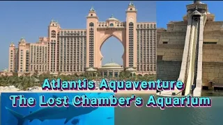 Atlantis Aquaventure & The Lost Chamber's Aquarium Walk Tour (2/2)