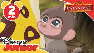 Lwia Straż - Piosenka: Pawian. Oglądaj w Disney Junior!