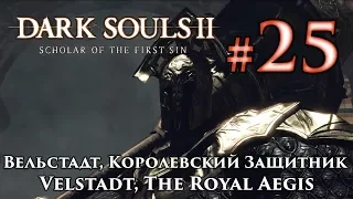 Dark Souls 2: Velstadt, The Royal Aegis