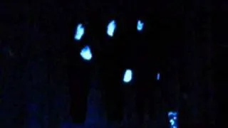 Fireflies in ASL