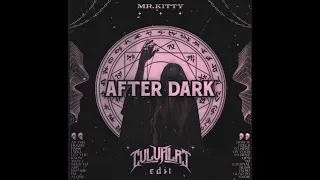 Mr Kitty - After Dark (sped up + reverb)