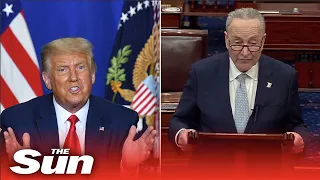 Chuck Schumer explains framework of Trump's impeachment trial