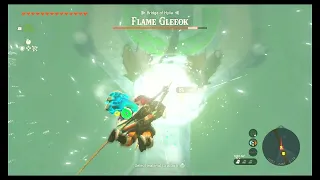 Lore Accurate Link vs Gleeok | Zelda TOTK