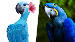 Rio in Real Life! All Characters Rio 2017 [Bibi]