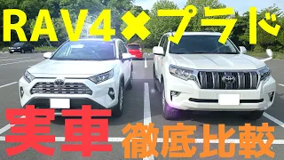 RAV4 PRADO比較