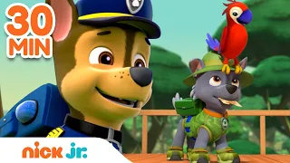 PAW Patrol Outdoor Rescues w/ Rocky & Chase! | 30 Minute Compilation | Nick Jr.
