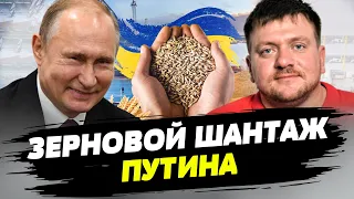 Одна из целей ракетный ударов россиян по Одессе – уничтожить запасы украинского зерна — Попович