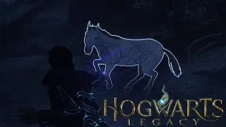 HAZEL THE UNICORN | Hogwarts Legacy | Part 57 (Hard)