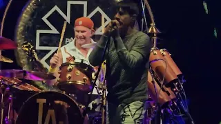 Red Hot Chili Peppers Live (Snow.....Hey Oh ) Ridgefield,Wa RV Amphitheater 5/28/24