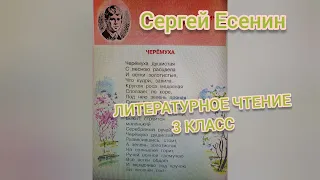 Сергей Есенин🔴Черёмуха🔴Литературное чтение 3 класс