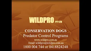 ACDN Webinar Series: 04 Alex Krstic Using Dogs in Feral Predator Control (2019)