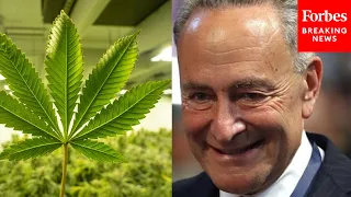 JUST IN: Schumer Unveils Legislation To Legalize Marijuana At Federal Level