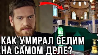 Смерть Селима 2  Как все было на самом деле?