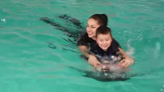 Дельфінотерапія. Дельфінарій "Оскар". Сімейне плавання з дельфінами.