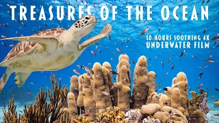 Treasures of the Ocean | 10 Hours 4K Underwater Video (No Loop) + Soothing Style for Relaxation