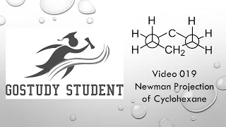 19 Newman Projection of Cyclohexane