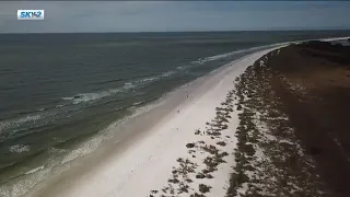 Red tide and blue-green algae take a toll on Southwest Florida's water