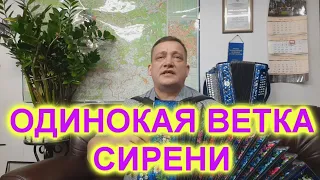 ПРИЯТНОГО ПРОСЛУШИВАНИЯ! ОДИНОКАЯ ВЕТКА СИРЕНИ!