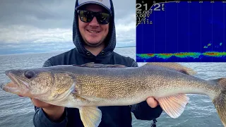 Bobber Sniping Walleyes with Garmin Livescope (Mille Lacs 2021)