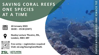 Saving coral reefs one species at a time